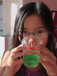 She drank a few cup fulls of this mint flavoured pop.  Yup, liquid carbonated toothpaste and she LOVED it.